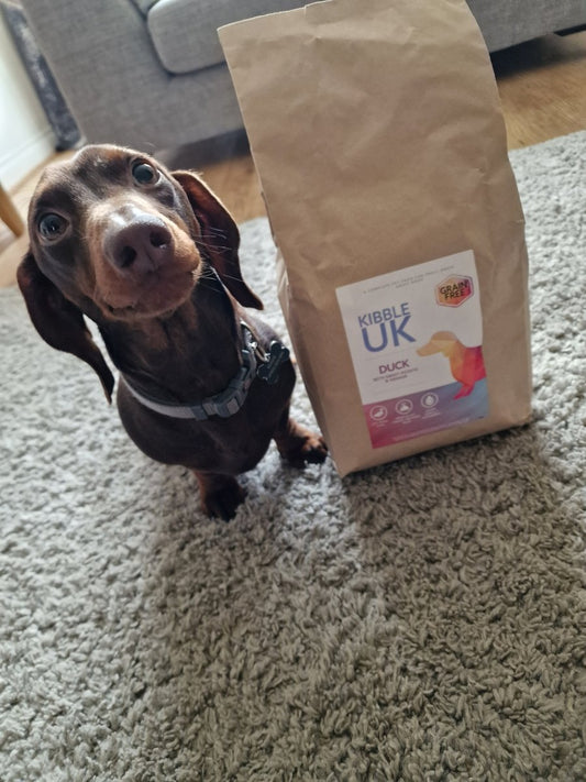 Grain Free Kibble - Solving Runny Poo Issues - My Online Pet Store