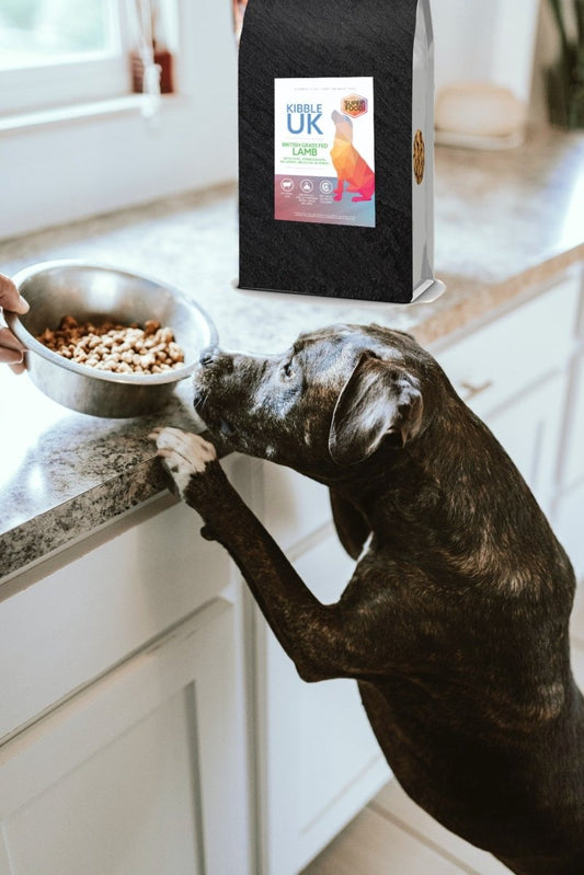 How Much Should I Feed My Pet? - My Online Pet Store