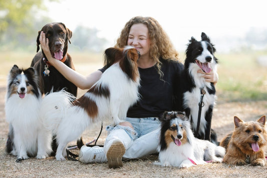 The Benefits of Adopting a Rescue Pet - My Online Pet Store