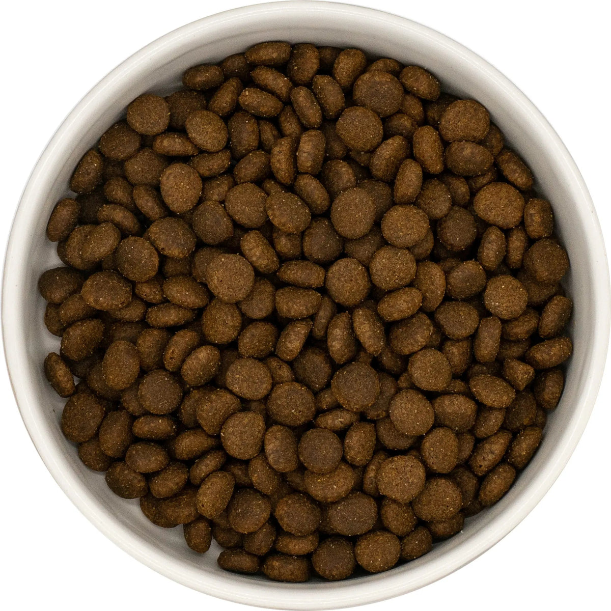 Grain Free Adult Cat Food - Salmon with Sweet Potato - Kibble UK - My Online Pet Store
