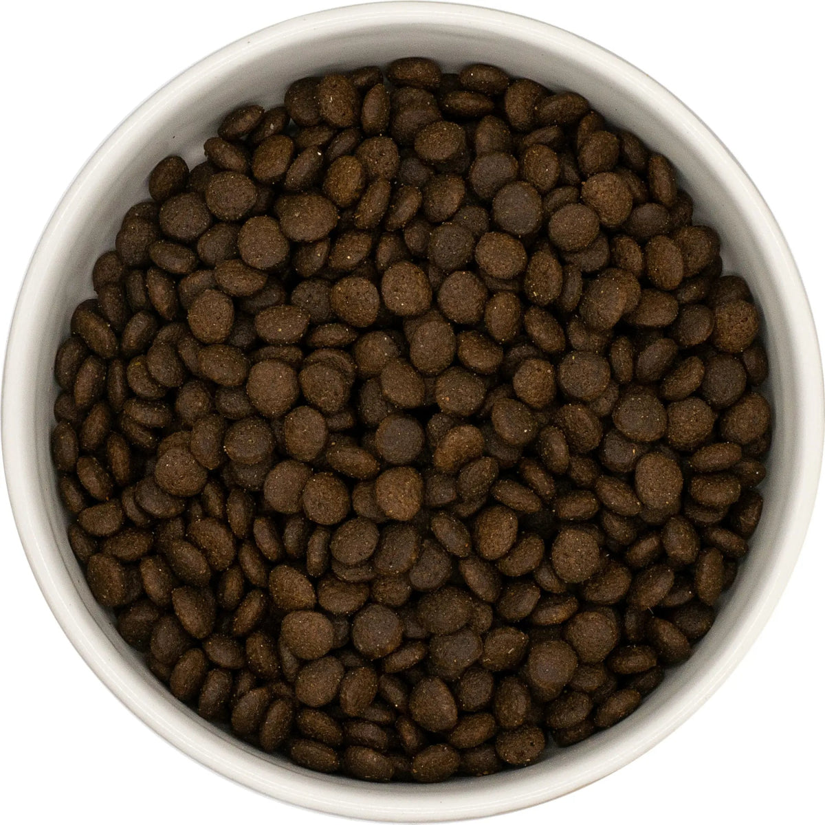 Grain Free Kitten Food - Chicken & Salmon with Sweet Potato - Kibble UK - My Online Pet Store