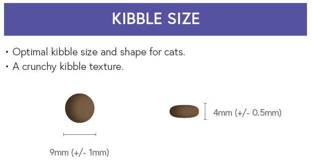 Super Premium Adult Cat Food - Salmon & Chicken with Rice - Kibble UK - My Online Pet Store