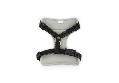 Ancol Travel & Exercise Harness - Kibble UK - My Online Pet Store