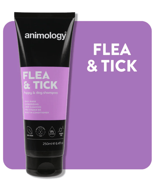 Animology Flea and Tick Dog Shampoo (250ml) - Kibble UK - My Online Pet Store