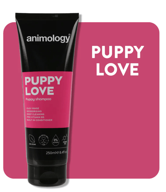 Animology Puppy Love Puppy Shampoo (250ml) - Kibble UK - My Online Pet Store