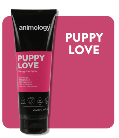 Animology Puppy Love Puppy Shampoo (250ml) - Kibble UK - My Online Pet Store