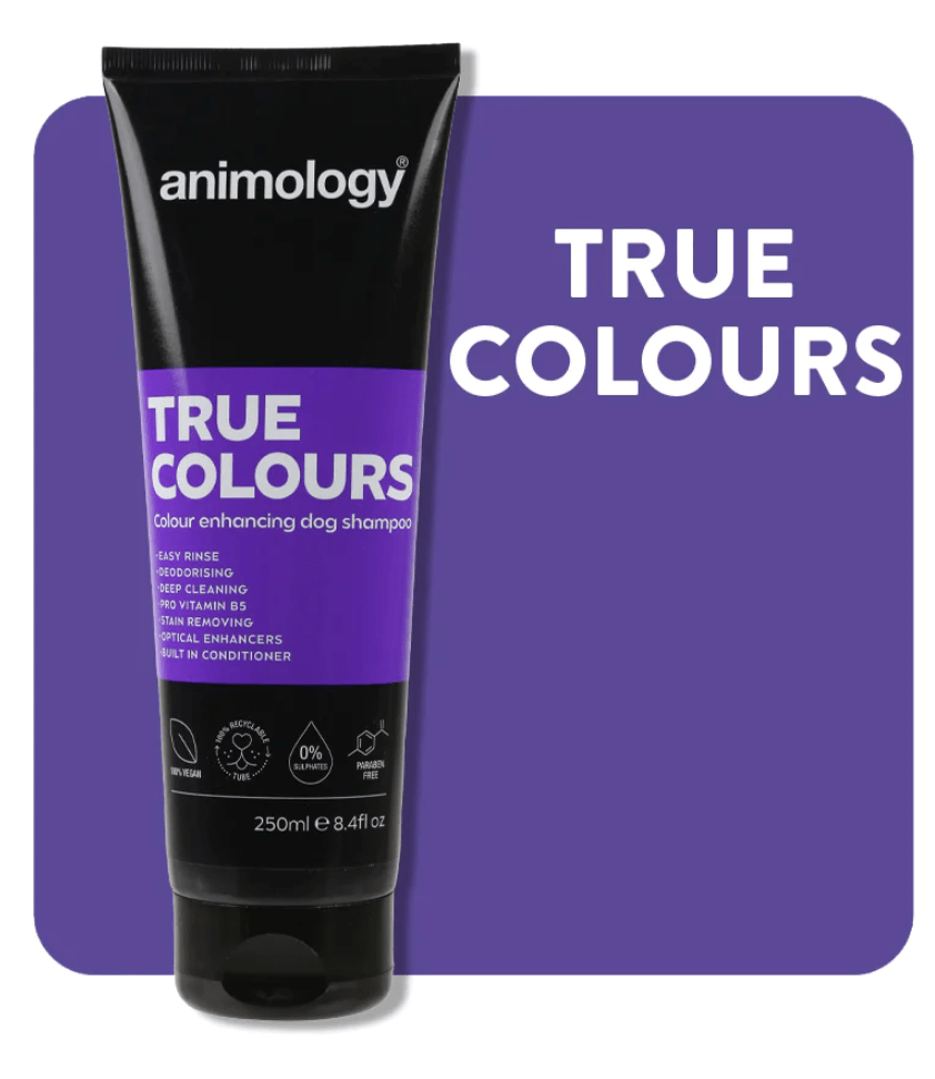 Animology True Colours Dog Shampoo (250ml) - Kibble UK - My Online Pet Store