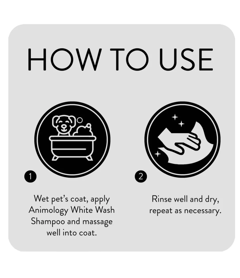 Animology White Wash Dog Shampoo (250ml) - Kibble UK - My Online Pet Store