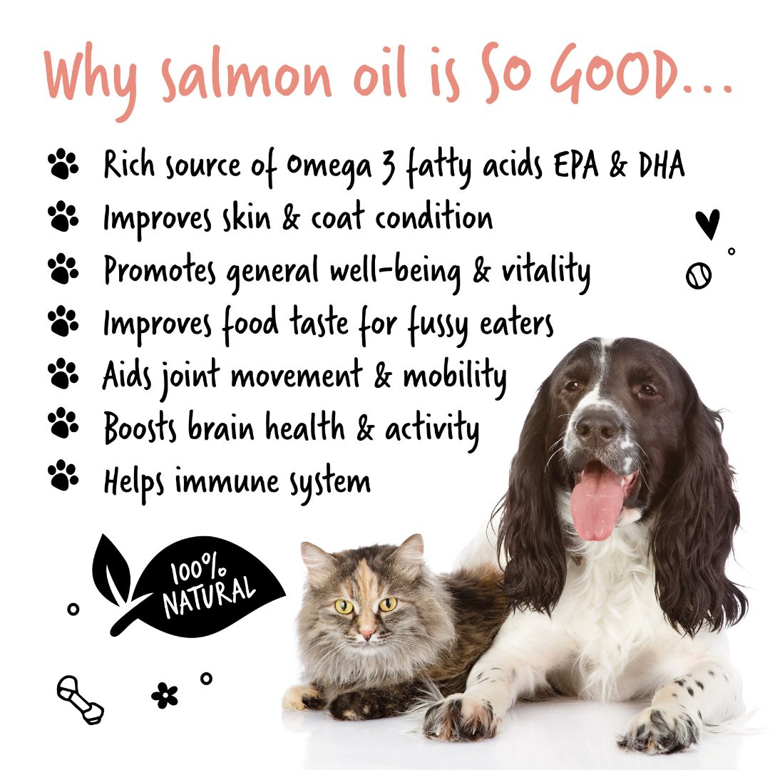 Bugalugs Salmon Oil (500ml) - Kibble UK - My Online Pet Store