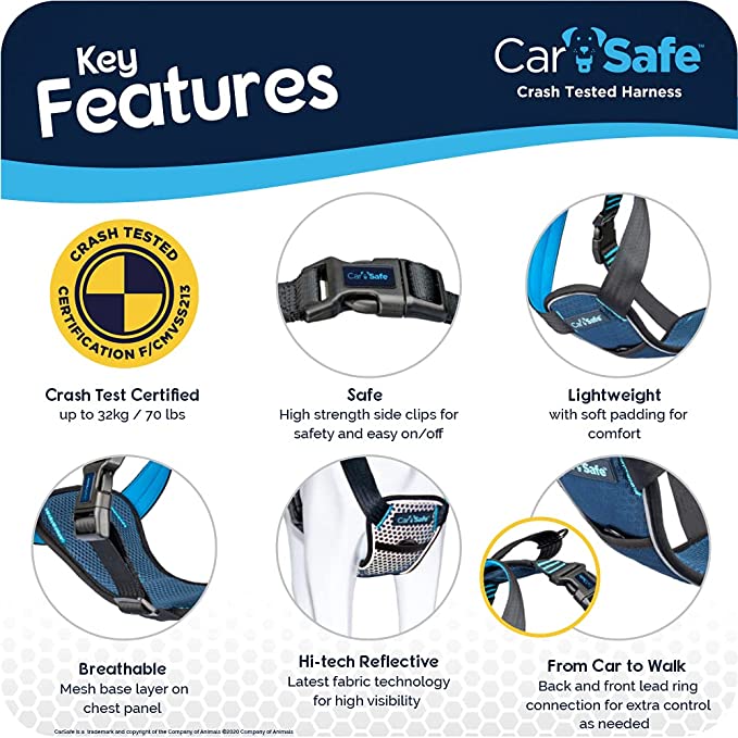 Carsafe Crash Tested Harness - Kibble UK - My Online Pet Store