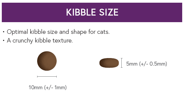 Connoisseur Adult Cat Food - Turkey & Chicken - Kibble UK - My Online Pet Store