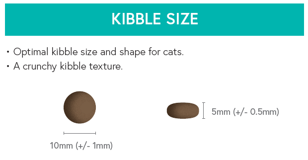 Grain Free Adult Cat Food - Salmon with Sweet Potato - Kibble UK - My Online Pet Store