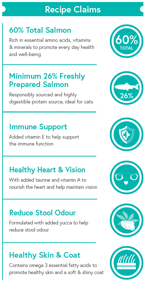 Grain Free Adult Cat Food - Salmon with Sweet Potato - Kibble UK - My Online Pet Store