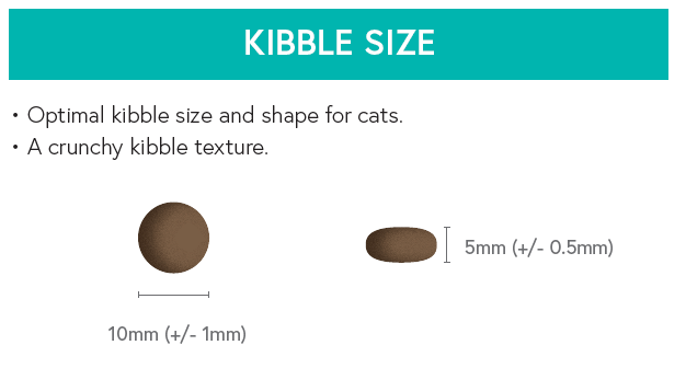 Grain Free Adult Cat Food - Turkey with Sweet Potato - Kibble UK - My Online Pet Store