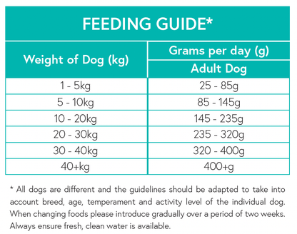 Grain Free Adult Dog Food - Angus Beef With Sweet Potato & Carrot - Kibble UK - My Online Pet Store