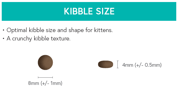 Grain Free Kitten Food - Chicken & Salmon with Sweet Potato - Kibble UK - My Online Pet Store