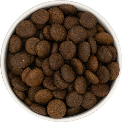 Grain Free Large Breed Dog Food- Salmon with Trout, Sweet Potato & Asparagus - Kibble UK - My Online Pet Store