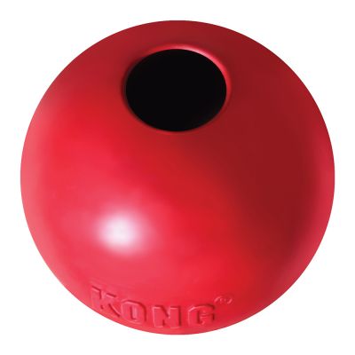 KONG Ball with Hole - Kibble UK - My Online Pet Store