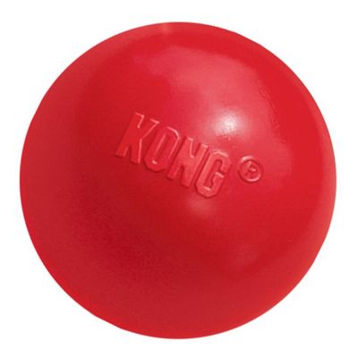 Kong kibble ball sales