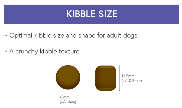 Super Premium Adult Dog Food - Chicken with Rice - Kibble UK - My Online Pet Store