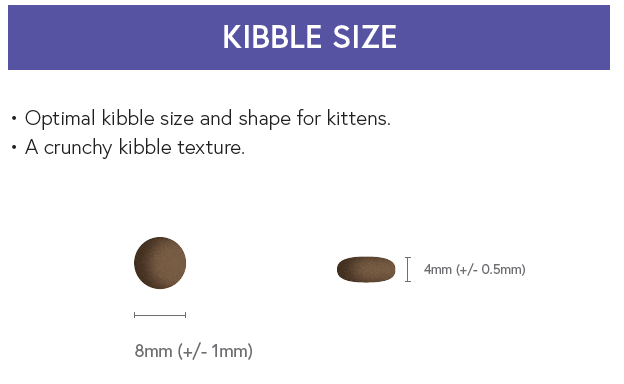 Super Premium Kitten Food - Chicken with Fish and Rice - Kibble UK - My Online Pet Store