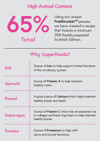 Superfood 65 ® Puppy Food - Scottish Salmon with Dill, Spinach, Fennel, Asparagus & Tomato - Kibble UK - My Online Pet Store