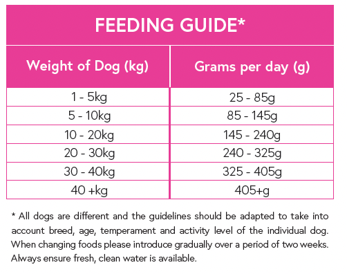 Superfood 65 ® Senior Dog Food - Scottish Salmon with Dill, Spinach, Fennel, Asparagus & Tomato - Kibble UK - My Online Pet Store