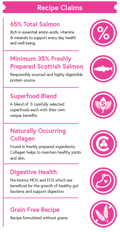 Superfood 65 ® Small Breed Dog Food - Scottish Salmon with Dill, Spinach, Fennel, Asparagus & Tomato - Kibble UK - My Online Pet Store