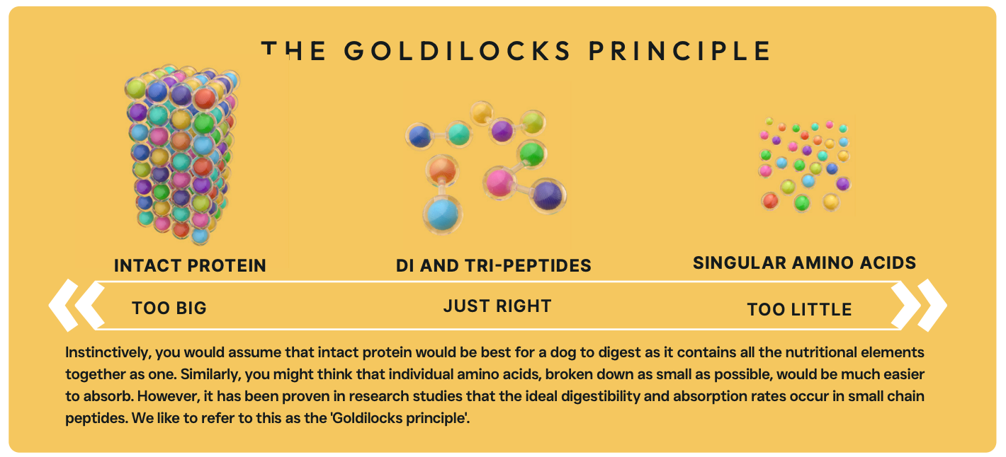 Peptide+ Hypoallergenic Healthy Living - Salmon