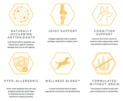 Peptide+ Hypoallergenic Healthy Living - Salmon