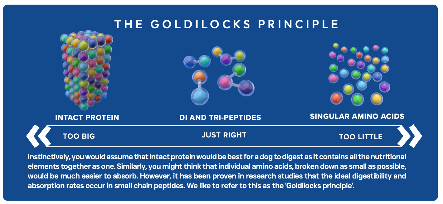 Peptide+ Weight Control & Joint Care - White Fish