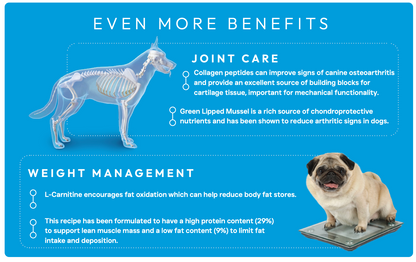 Peptide+ Weight Control & Joint Care - White Fish