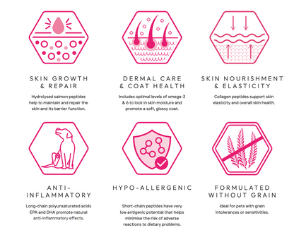 Peptide+ Skin & Coat Care - Salmon
