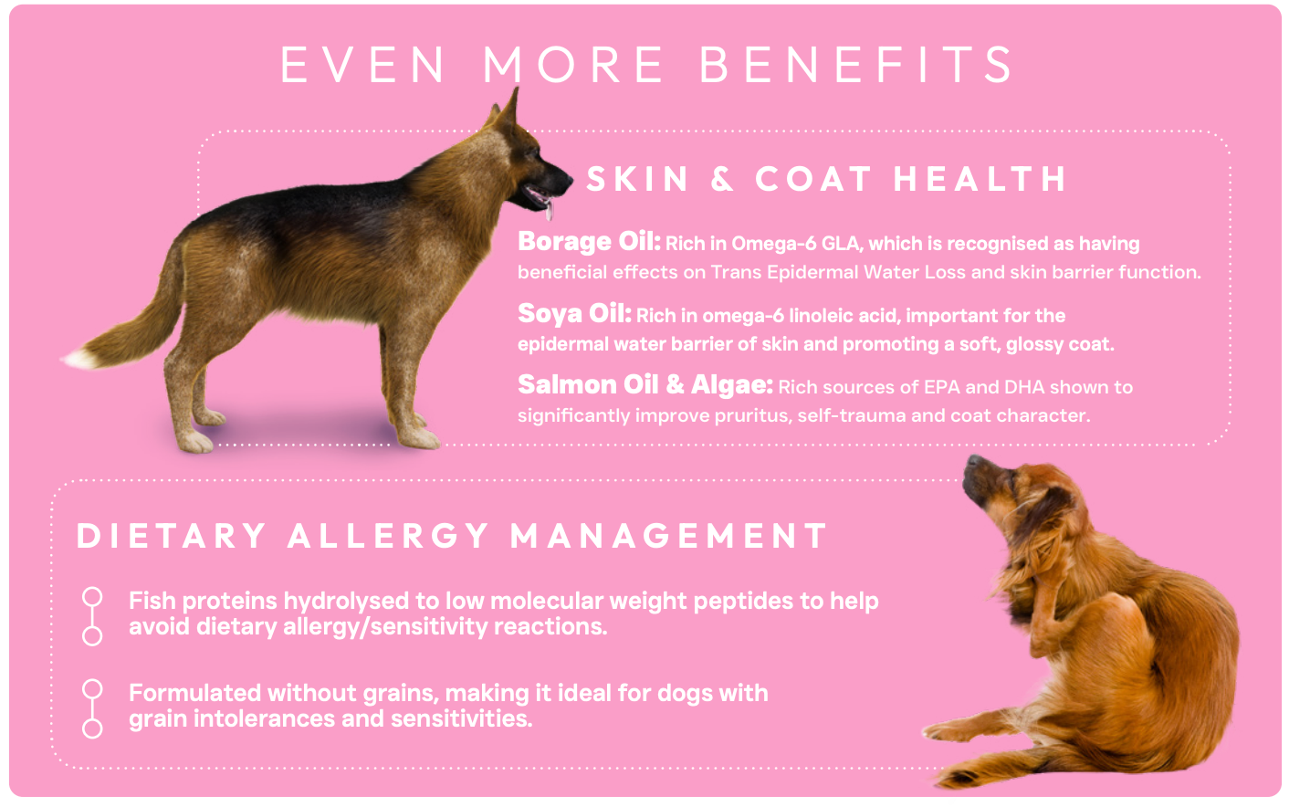Peptide+ Skin & Coat Care - Salmon