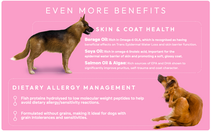 Peptide+ Skin & Coat Care - Salmon