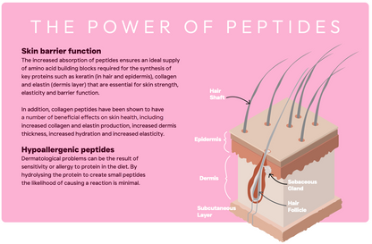 Peptide+ Skin & Coat Care - Salmon