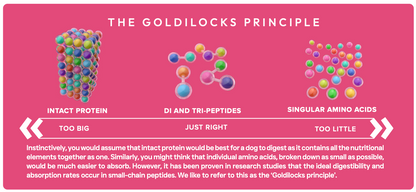 Peptide+ Skin & Coat Care - Salmon