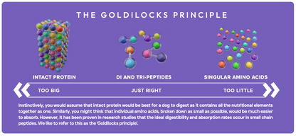 Peptide+ Sensitive Stomach & Digestive Care - Turkey