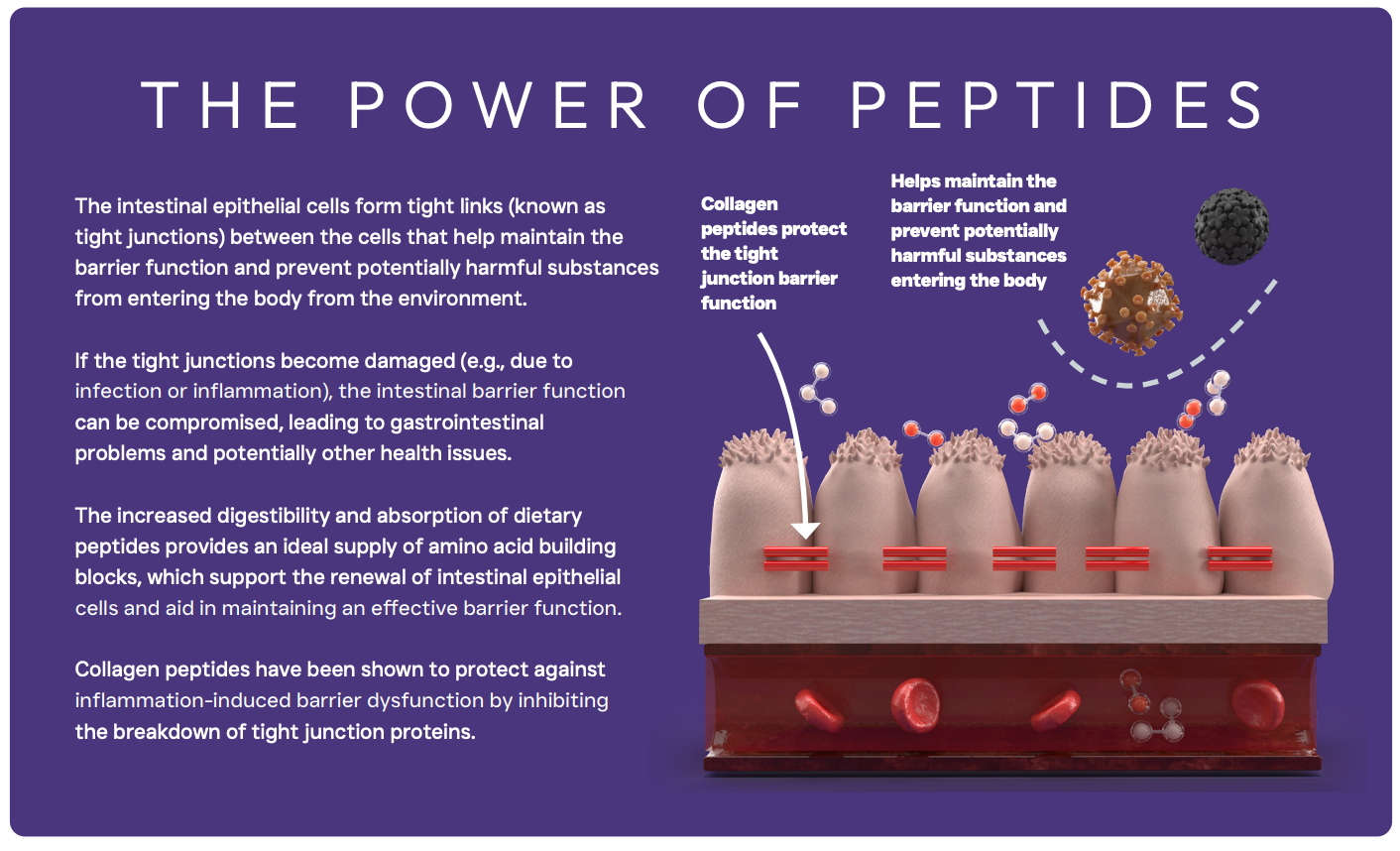 Peptide+ Sensitive Stomach & Digestive Care - Turkey