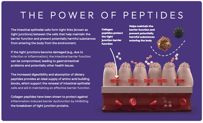 Peptide+ Sensitive Stomach & Digestive Care - Turkey