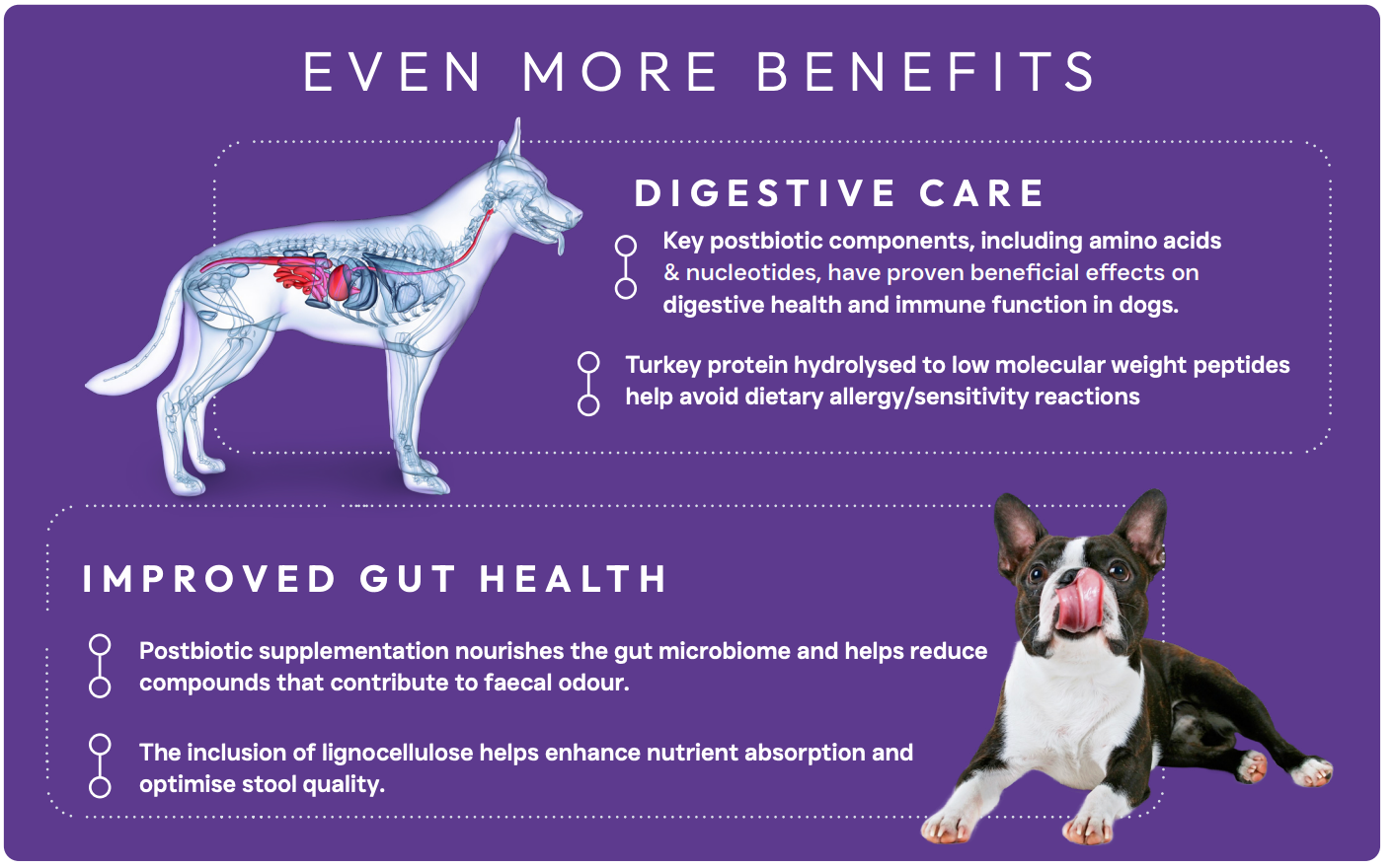 Peptide+ Sensitive Stomach & Digestive Care - Turkey