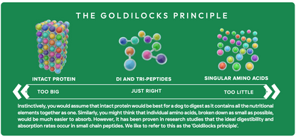Peptide+ Dental Care - Turkey & Salmon