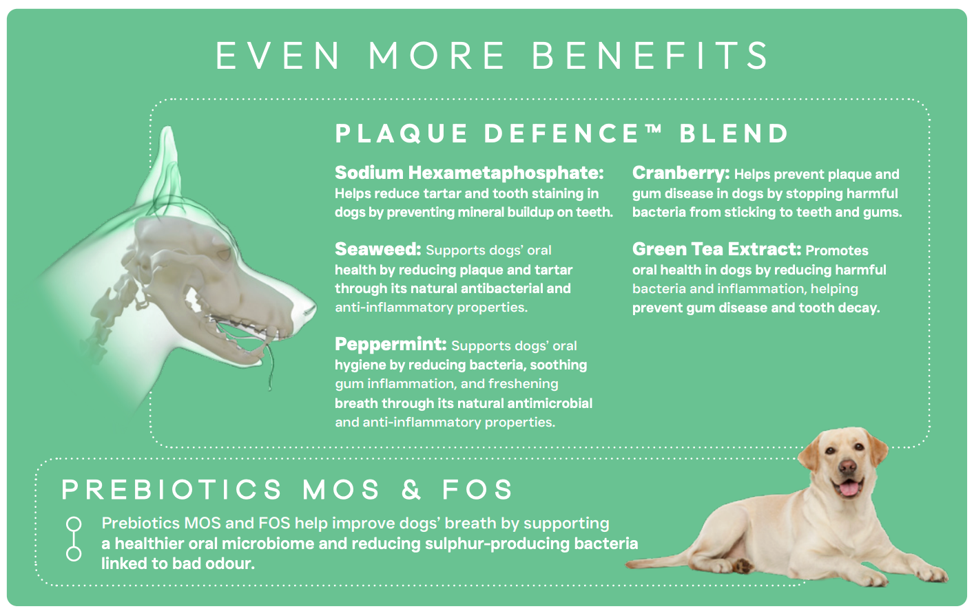 Peptide+ Dental Care - Turkey & Salmon