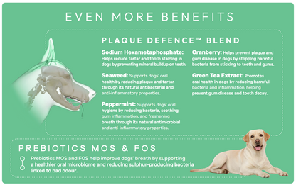 Peptide+ Dental Care - Turkey & Salmon