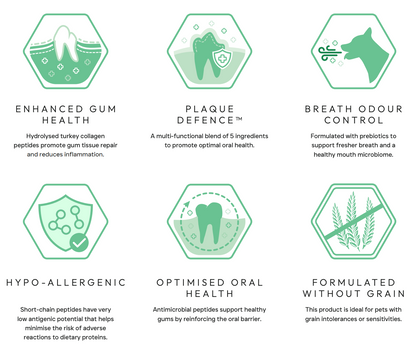 Peptide+ Dental Care - Turkey & Salmon