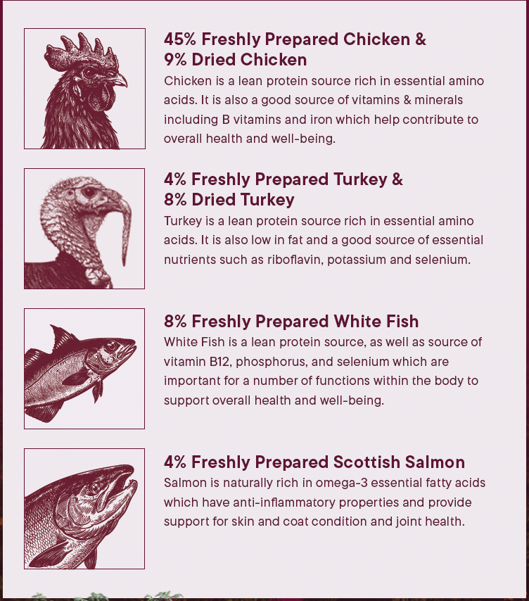 Wilderness 80 Grain Free Dog Food (All Lifestages) - Chicken, Turkey, White Fish & Salmon