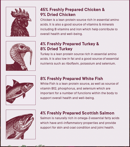 Wilderness 80 Grain Free Dog Food (All Lifestages) - Chicken, Turkey, White Fish & Salmon