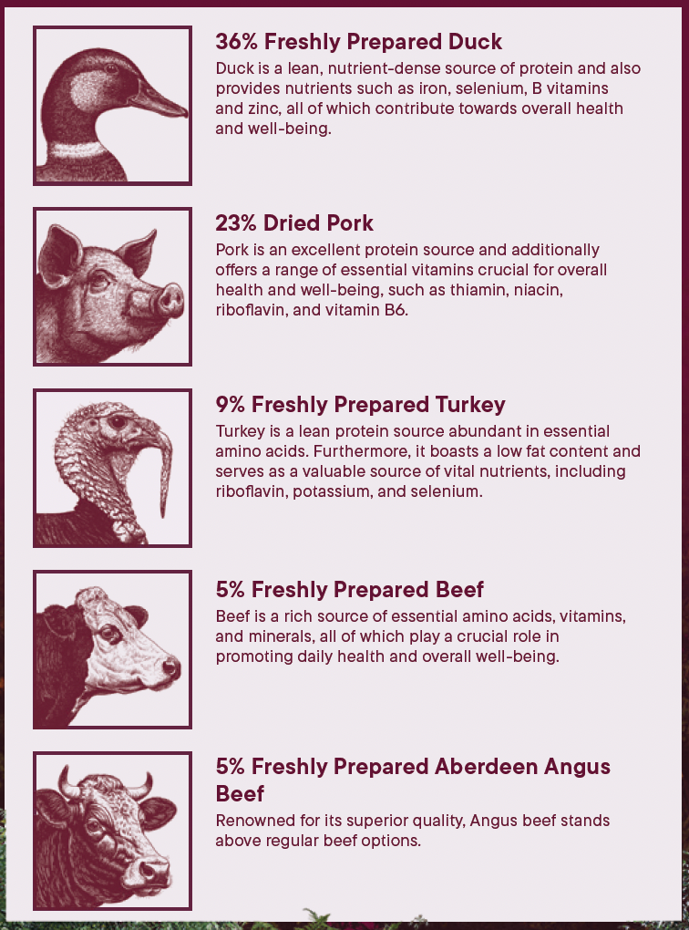 Wilderness 80 Grain Free Dog Food (All Lifestages) - Duck, Pork, Turkey & Angus Beef