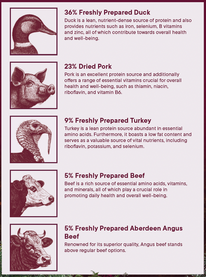 Wilderness 80 Grain Free Dog Food (All Lifestages) - Duck, Pork, Turkey & Angus Beef