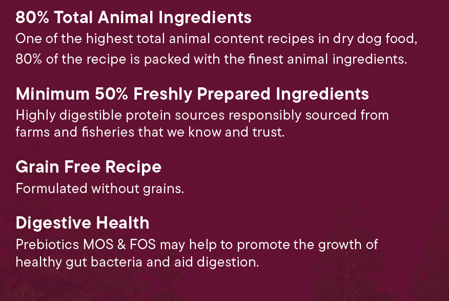Wilderness 80 Grain Free Dog Food (All Lifestages) - Duck, Pork, Turkey & Angus Beef